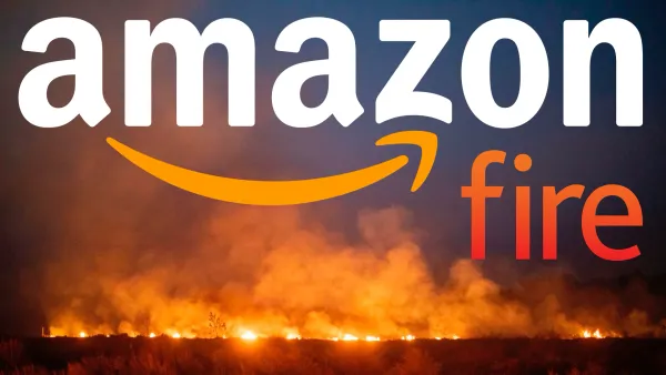 The Real Reason Behind The Amazon Fire
